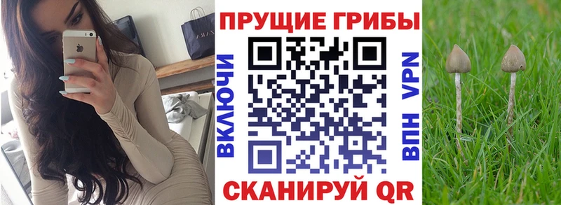 Галлюциногенные грибы Cubensis  Красково 